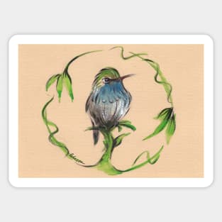 'Tiny'   Hummingbird watercolor painting by Rebecca Rees Sticker